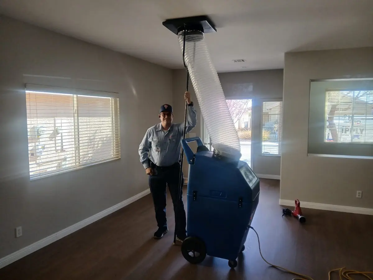 Professional Dryer Vent Cleaning work inside a Frankenmuth home
